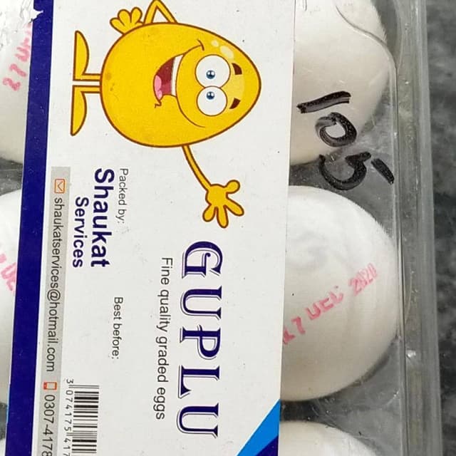 Egg