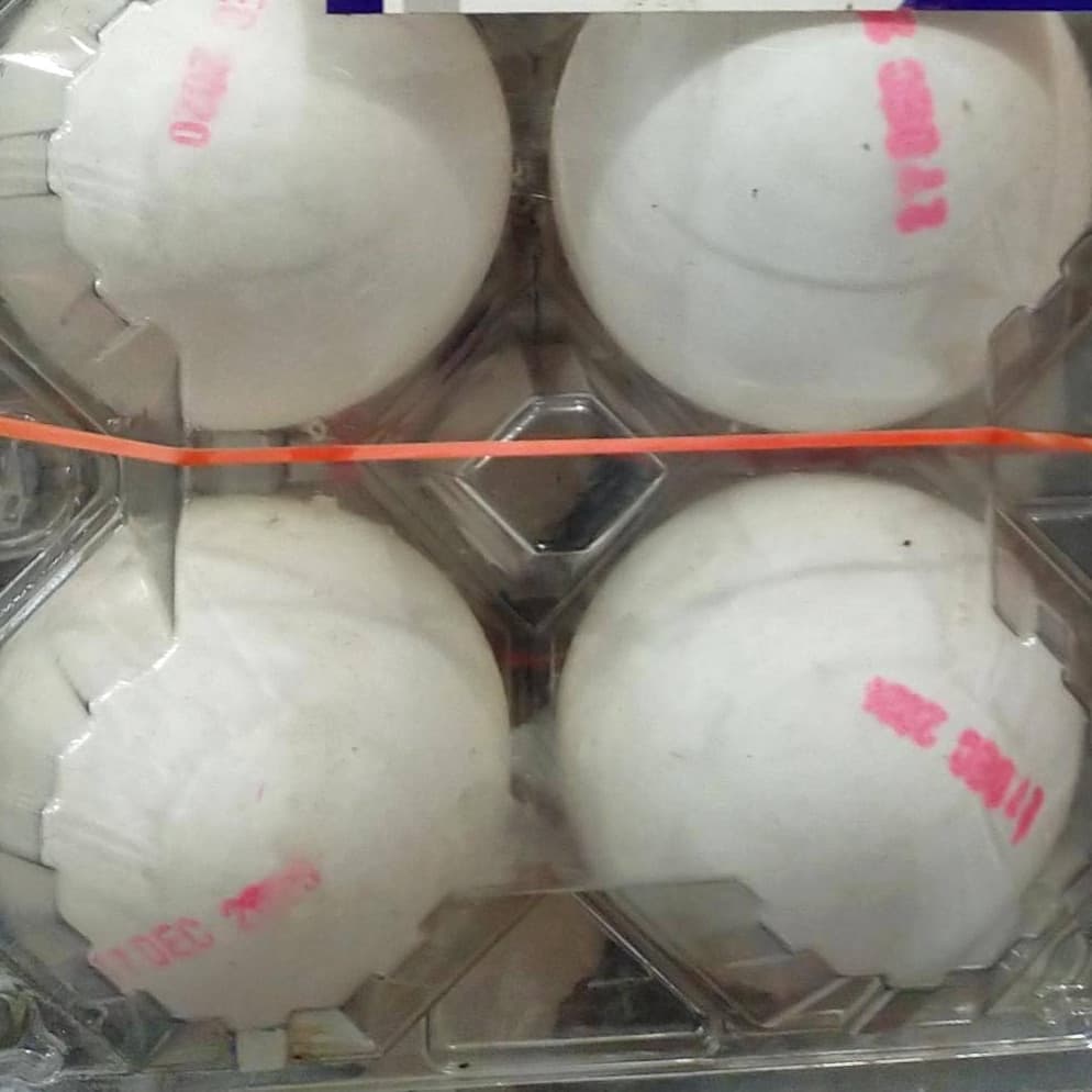 Egg